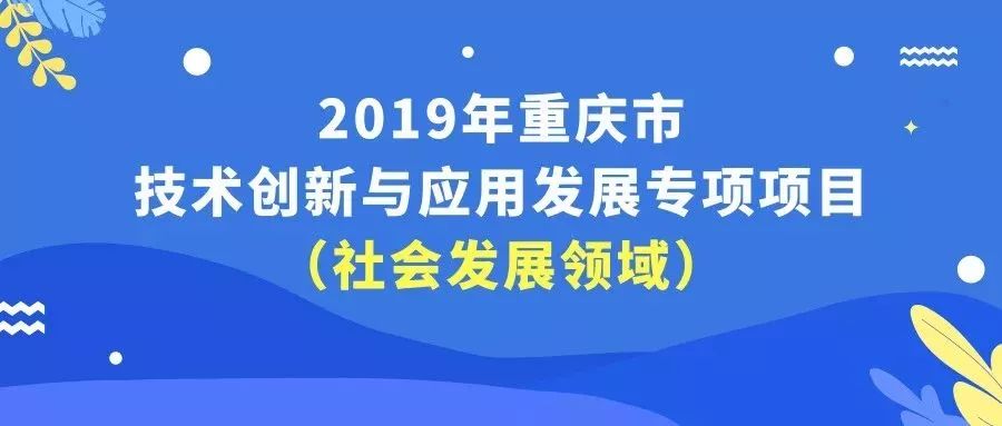 新澳2025最新资料大全，餐饮领域的探索与创新