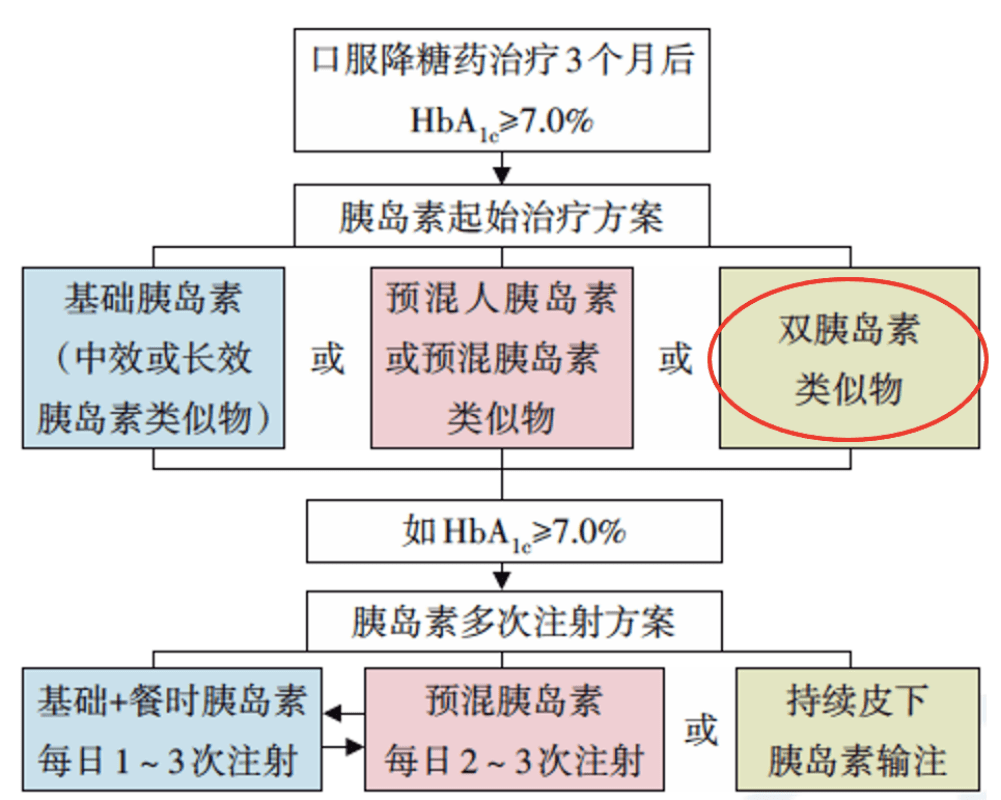 新澳2025最新资料大全第044期详细解读与探索，从39到未来展望