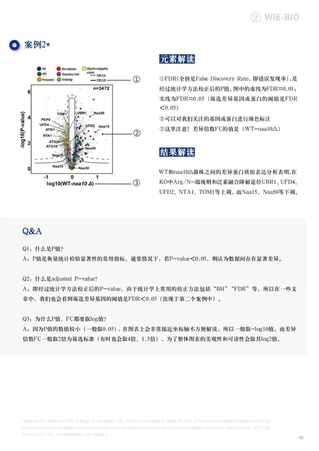 新奥2025最新资料大全，准确资料、全面数据与深入解读