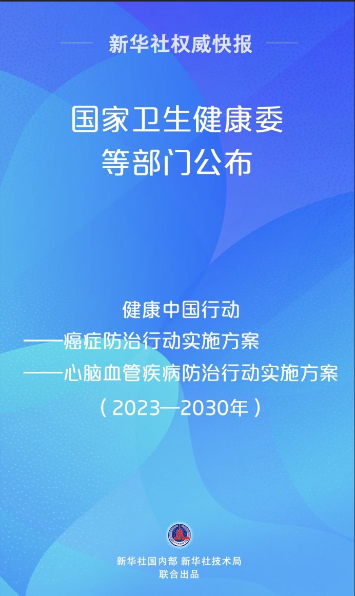 张超简报，2025新奥最新资料大全解析、落实与策略探讨