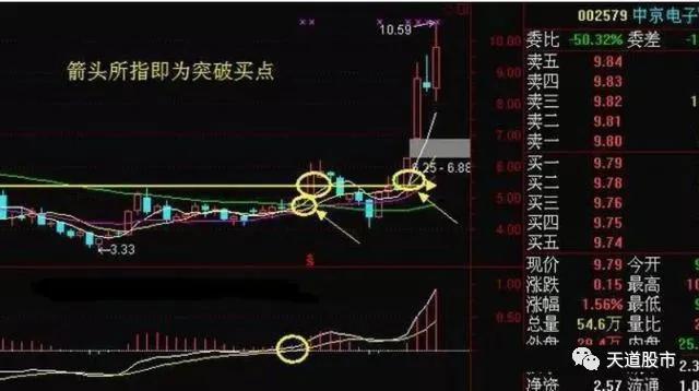 一码一肖，揭秘精准预测的秘密—100%精准之道