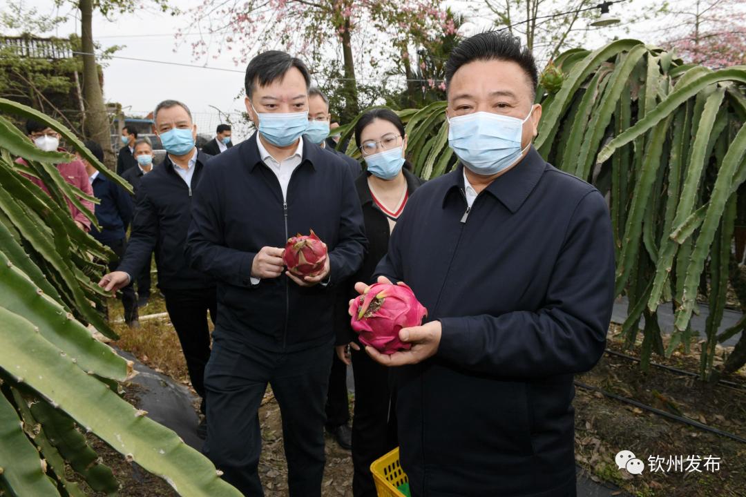 探索新澳精准资料，揭秘免费网站与获取最佳资源的途径