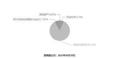 揭秘预测背后的全套路，探索新奥集团内部资料，展望2025最新资讯前沿动向