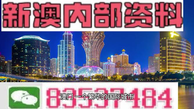 探索未来澳门，全面免费政策的释义、解释与落实之路