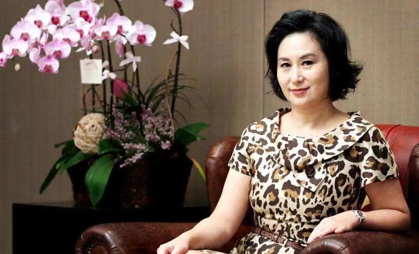 探索未来的新澳门与香港，资本车的全新释义、解释与落实策略