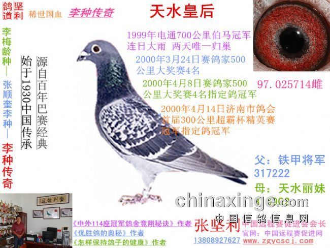 今晚必中四不像图玄机图的解答解释与落实策略