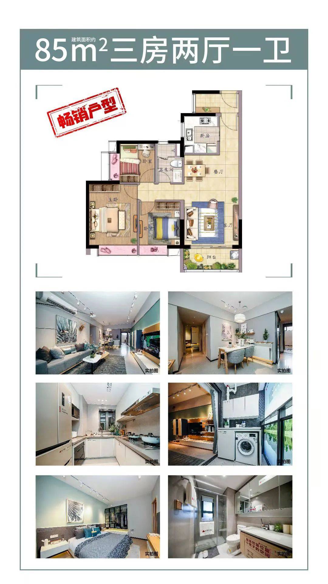 新澳2025最新资料大全第044期详细解析及展望