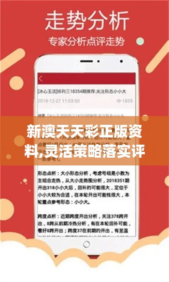 新澳精准资料探索，揭开幸运的神秘面纱—静态版7.983