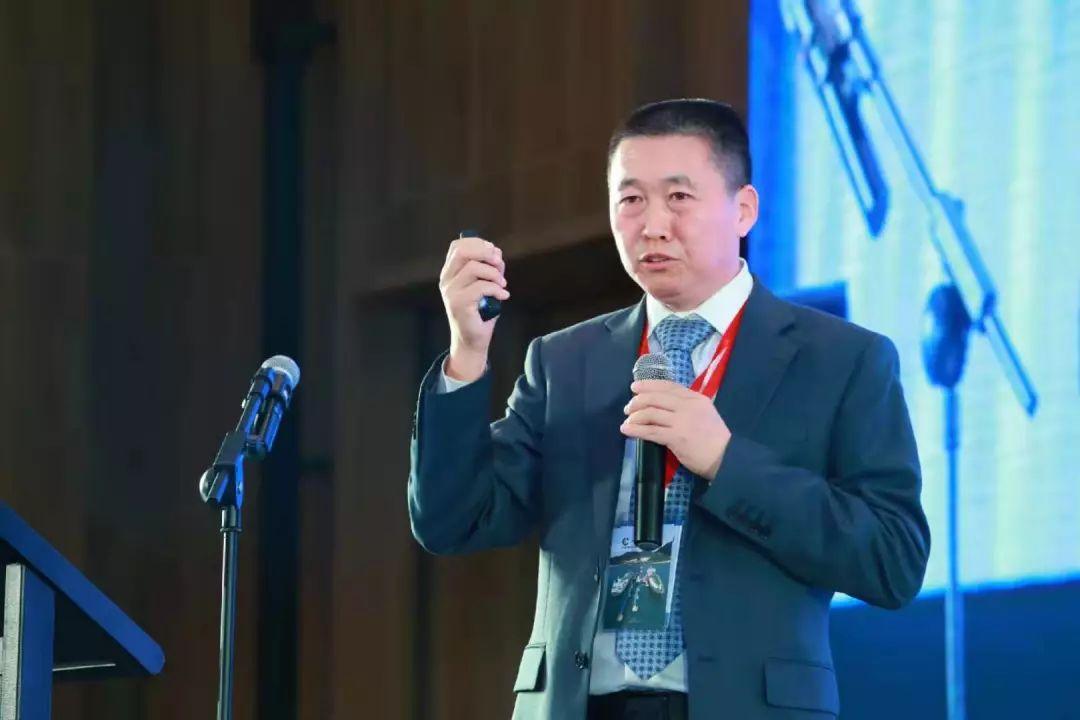 全民喜欢，探索2025新奥最新资料大全的精选解析、落实与策略