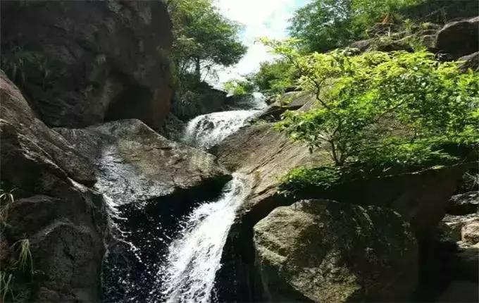 三中三必中一组澳门，聆听大自然的声音，感受生命的律动