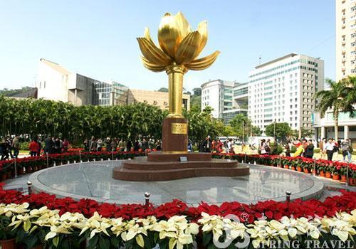 探索未来澳门，全面免费政策的释义、解释与落实