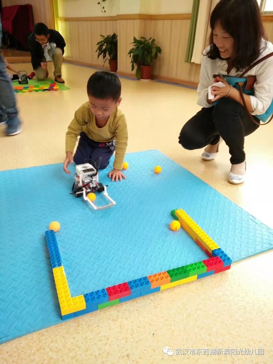 新澳2025最新资料大全与幼儿园教育在安庆的科学分析解析说明