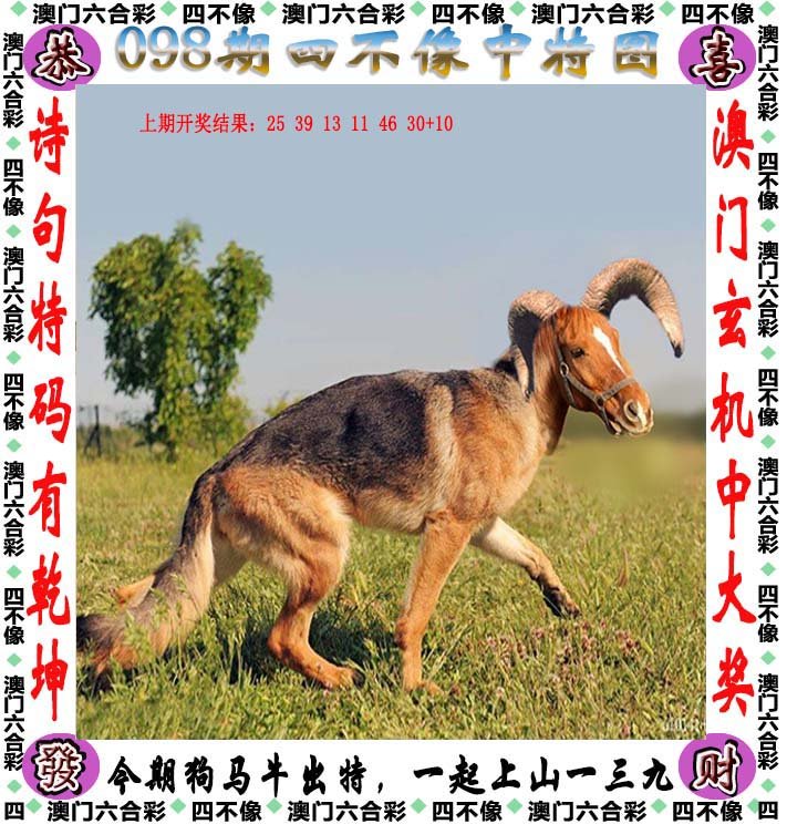 今晚必中四不像图玄机图，解答解释与落实行动
